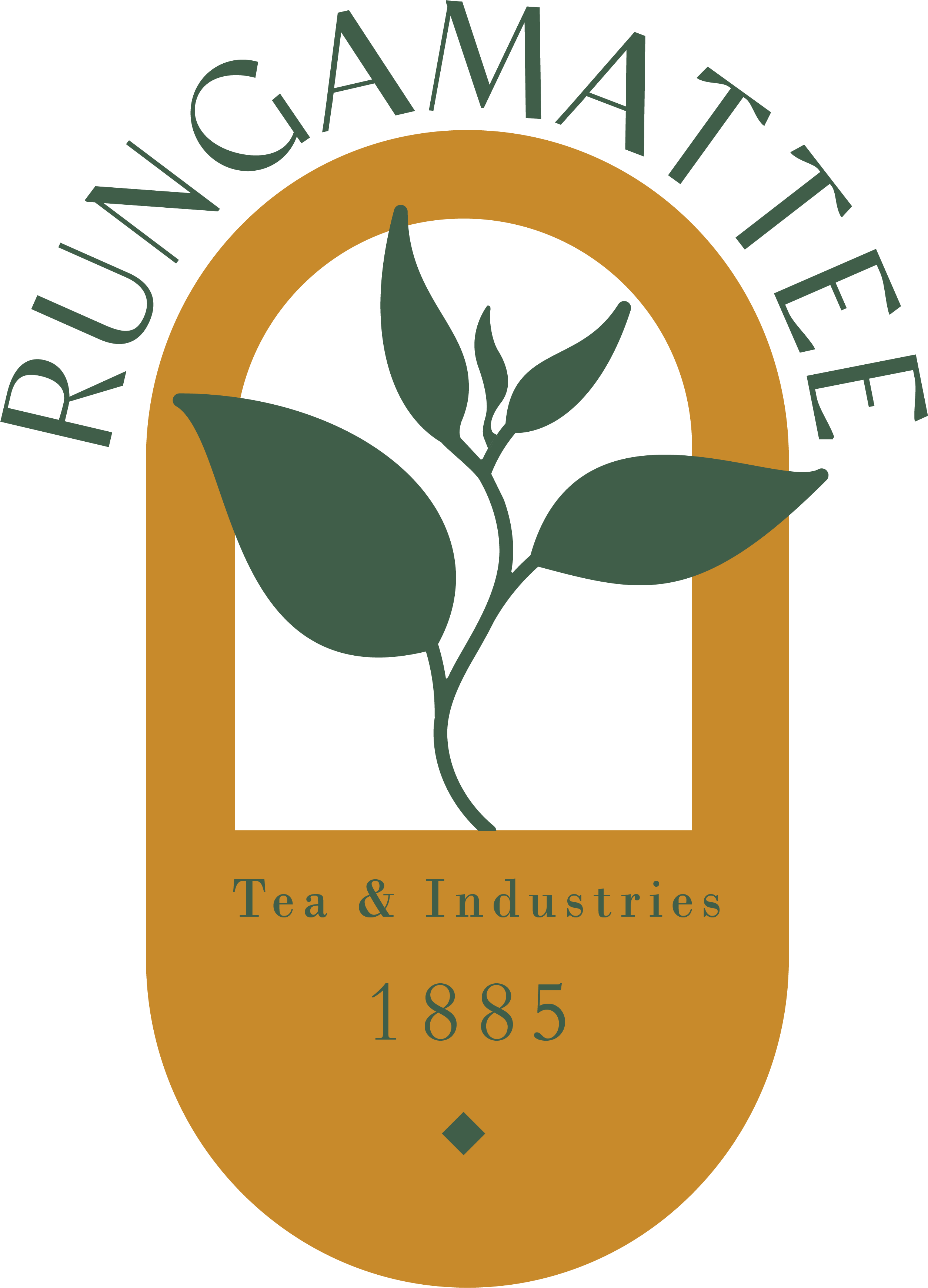 Senior Accountant